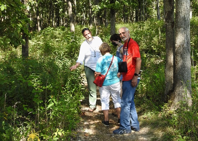 Botanical Walk in woodland