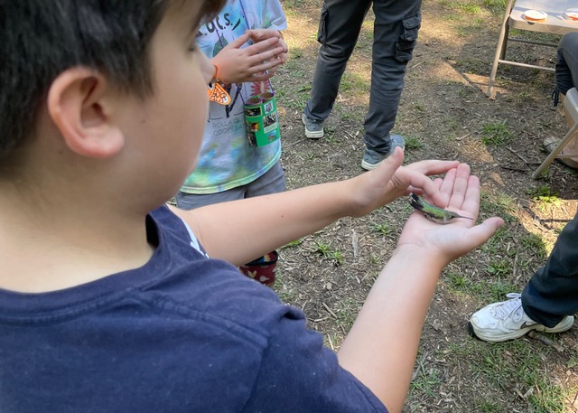 Hummingbird Bird Booth - Youth holding a Hummingbird